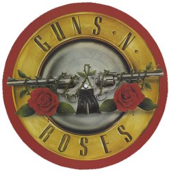 gun and roses